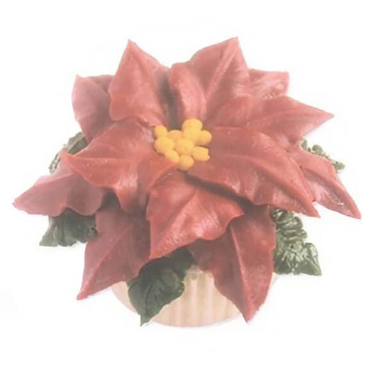 How to Piping Poinsettia for Christmas Decoration?