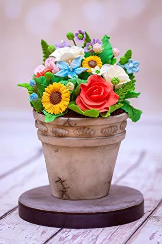 fondant plant pot kowanii Pro Ferns Silicone Sugarpaste Icing Mold, Nicholas Lodge Flowe