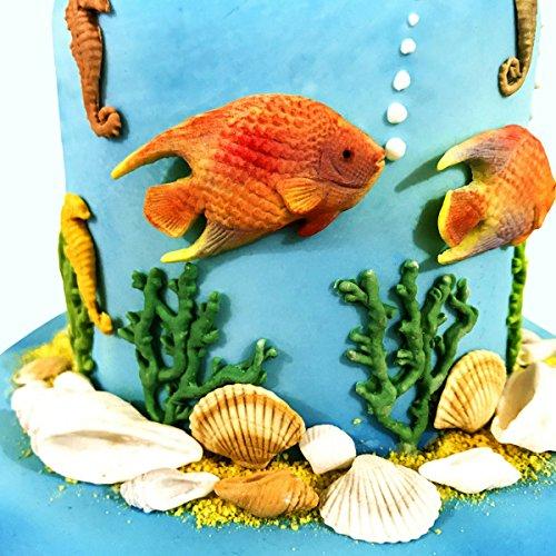 kowanii Fish, Seaweed and Coral Silicone Mold for Cake Decorating, Cupcakes, Sugarcraft, Candies, Clay, Crafts and Card Making, Food Safe Silicone Fondant Molds
